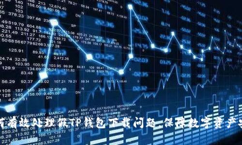如何有效处理假TP钱包下载问题,保障数字资产安全