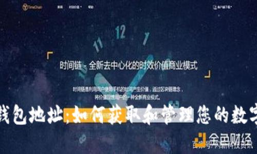 数字钱包地址:如何获取和管理您的数字资产