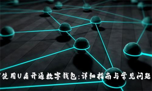 如何使用U盾开通数字钱包:详细指南与常见问题解答