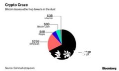 如何在BSN区块链上查询钱包地址:全面指南