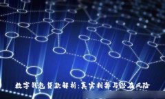 数字钱包贷款解析:真实利弊与潜在风险
