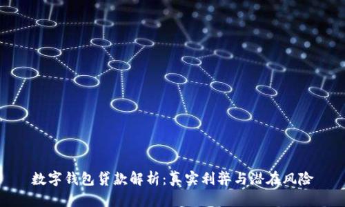数字钱包贷款解析:真实利弊与潜在风险