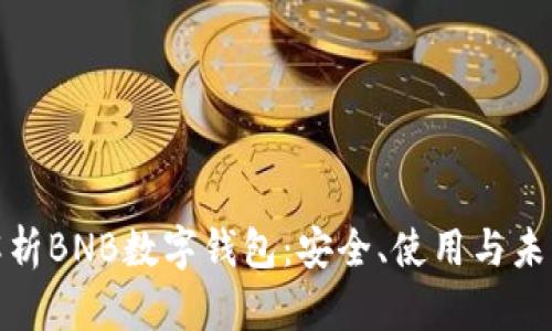 全面解析BNB数字钱包:安全、使用与未来趋势