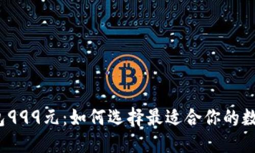 数字钱包999元:如何选择最适合你的数字钱包?