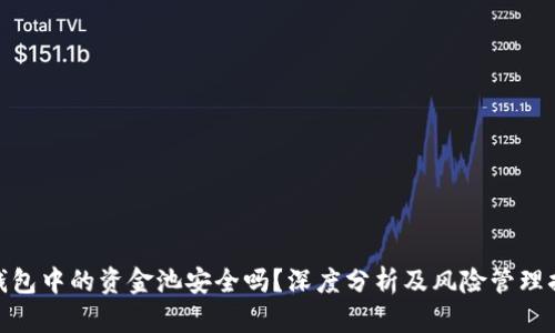 TP钱包中的资金池安全吗?深度分析及风险管理措施