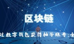 如何通过数字钱包获得柚子账号:全面指南