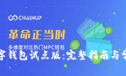 如何下载数字钱包试点版:完整指南与常见问题解答