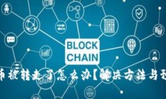 tp钱包币被转走了怎么办?解决方法与预防措施