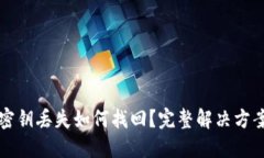 TP钱包密钥丢失如何找回?完整解决方案与指南