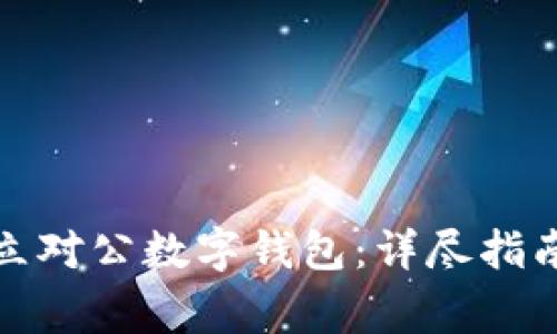 如何顺利开立对公数字钱包:详尽指南与注意事项
