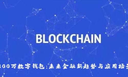深圳800万数字钱包:未来金融新趋势与应用场景解析