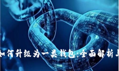 数字钱包如何升级为一类钱包:全面解析与实用指南