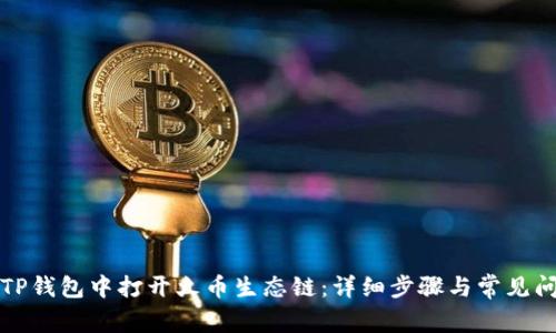 如何在TP钱包中打开火币生态链:详细步骤与常见问题解答