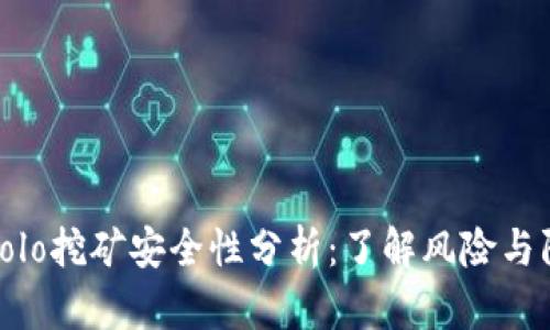 TP钱包Solo挖矿安全性分析:了解风险与防范措施
