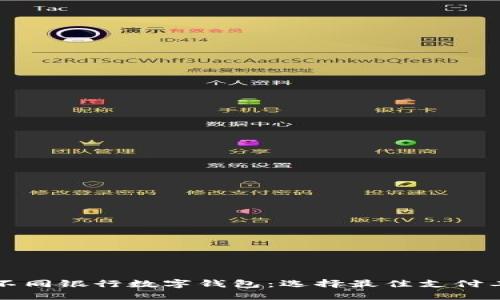 全面评测不同银行数字钱包:选择最佳支付工具的指南