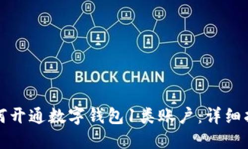 如何开通数字钱包1类账户:详细指南
