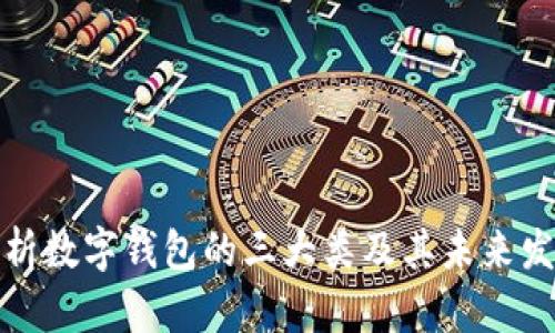 全面解析数字钱包的三大类及其未来发展趋势