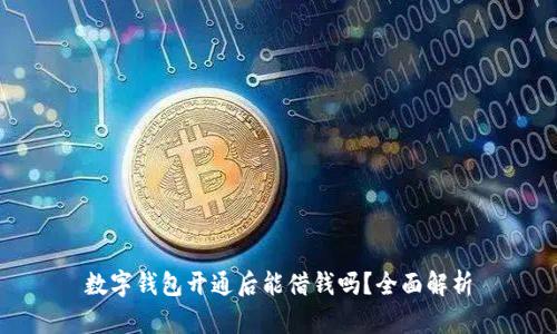 数字钱包开通后能借钱吗?全面解析
