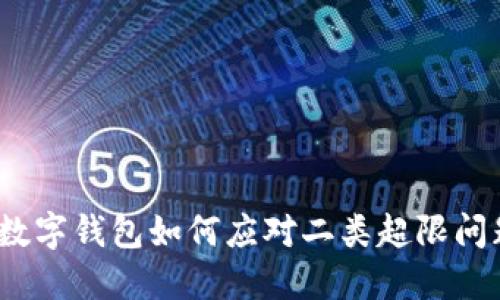 : 数字钱包如何应对二类超限问题？