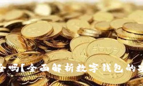 数字钱包支付安全吗?全面解析数字钱包的安全性与防范技巧