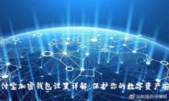 支付宝加密钱包设置详解:保护你的数字资产安