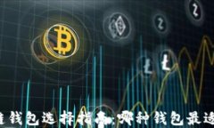 区块链钱包选择指南:哪种钱包最适合你?
