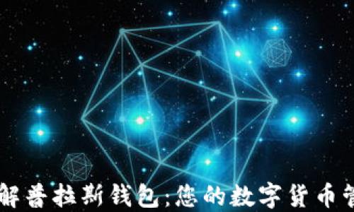 深入了解普拉斯钱包:您的数字货币管理助手