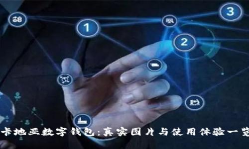 卡地亚数字钱包:真实图片与使用体验一览