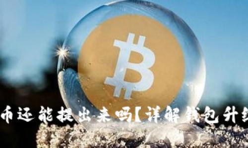 TP钱包升级后,币还能提出来吗?详解钱包升级对资产的影响