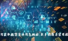 如何获取数字货币钱包地址:新手指南与实用技