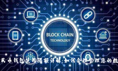 数字人民币钱包使用限额详解:如何合理管理您的数字资产