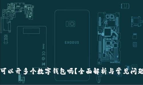 一人可以开多个数字钱包吗?全面解析与常见问题解答