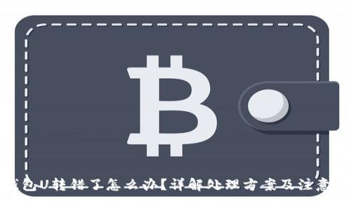TP钱包U转错了怎么办?详解处理方案及注意事项