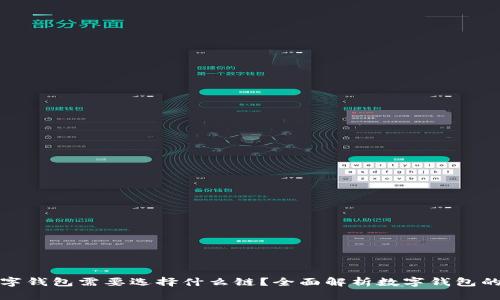 开通数字钱包需要选择什么链?全面解析数字钱包的链选择