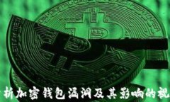 深入分析加密钱包漏洞及其影响的视频解说
