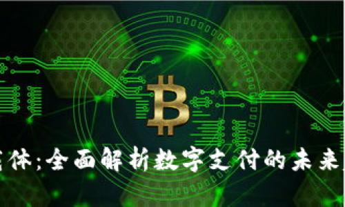 数字钱包载体:全面解析数字支付的未来趋势与应用