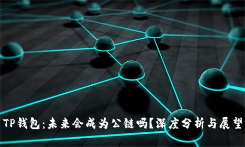 TP钱包:未来会成为公链吗?深度分析与展望