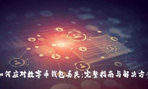 如何应对数字币钱包丢失:完整指南与解决方案