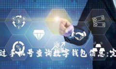 如何通过手机号查询数字钱包信息:完整指南