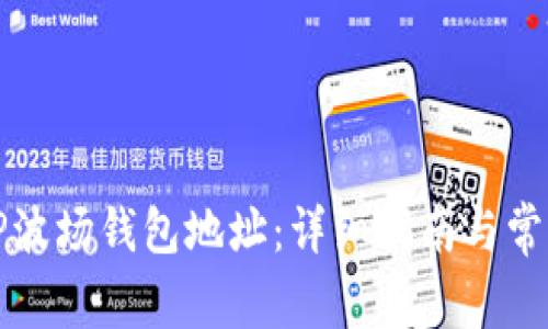 如何找到TP波场钱包地址:详细指南与常见问题解答