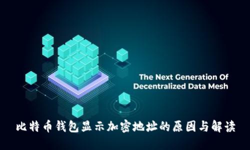比特币钱包显示加密地址的原因与解读