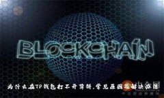 为什么在TP钱包打不开薄饼，常见原因及解决办法