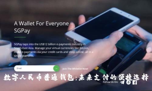 数字人民币普通钱包：未来支付的便捷选择