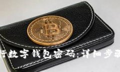 如何查询建设银行数字钱包密码:详细步骤与常
