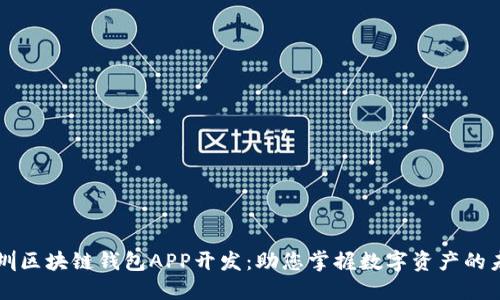 深圳区块链钱包APP开发:助您掌握数字资产的未来
