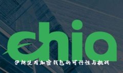 伊朗使用加密钱包的可行性与挑战