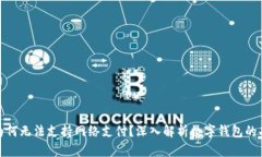 数字钱包为何无法支持网络支付?深入解析数字
