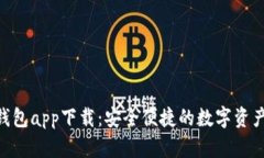 DSE数字钱包app下载：安全便捷的数字资产管理利