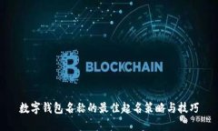 数字钱包名称的最佳起名策略与技巧