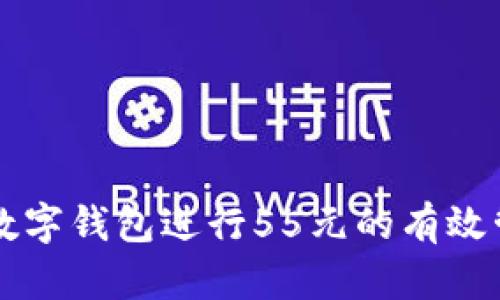 如何利用数字钱包进行55元的有效管理与使用